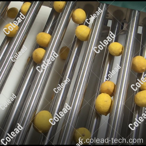 Machine de classement de pommes de terre à l&#39;oignon agricole